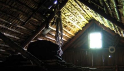 Мир поражен! Вот что нашел мальчик на чердаке у бабушки