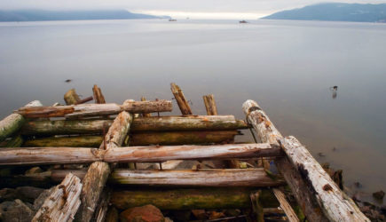 Путина нет – земля ничья: Китай ждёт своего часа