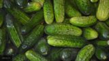Специалист сообщила, в чем заключается польза горьких огурцов