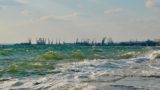 На Украине «сквасилось» Азовское море