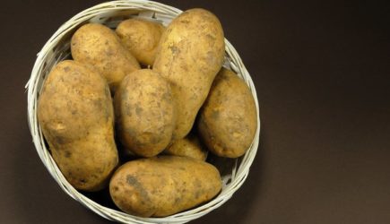 До 50 вёдер картошки с сотки: Раскрыта «голландская» система