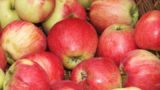 Не выбрасывайте сердцевинки яблок: Из них получатся сразу три полезных продукта
