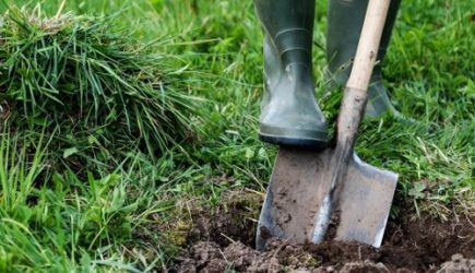 Озвучены самые популярные ошибки огородников осенью