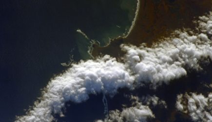 Эколог предложил способ восстановить водную экосистему на Камчатке