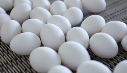 В сети назвали шесть опасных видов яиц