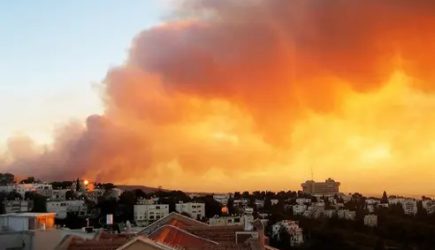 Десятки людей сгорели за&nbsp;минуты: пожар в заповеднике под Хайфой