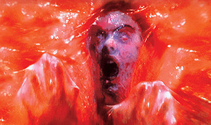 Ученые доказали истинность выражения «от страха кровь стынет в жилах»