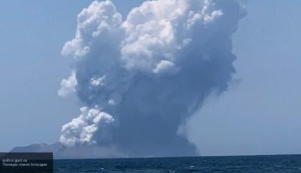 Число жертв извержения вулкана в Новой Зеландии возросло до 18 человек