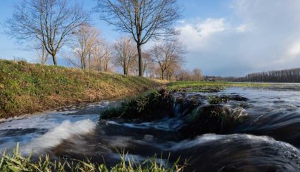 Приметы на апрель: что нельзя делать в день Водяного
