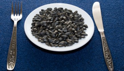 Американец из любопытства купил семечки. И проклял всё: «Это русский наркотик!»