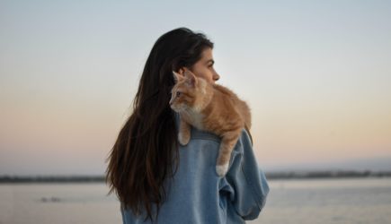 Опрос от Мамба: что думают мужчины о мифе «40 кошек»