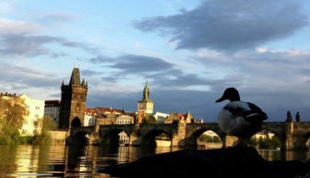 Будет больно: в России нашли ахиллесову пяту Чехии