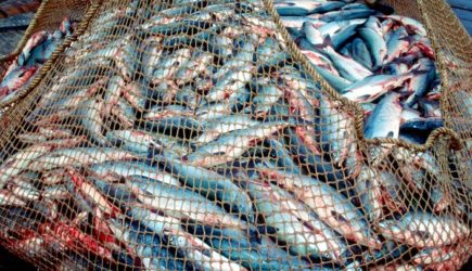 Японцы издевались над русскими пограничниками, пока не получили особый &#171;подарок&#187;