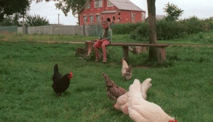 Пронько об &#171;афере&#187; года: ограбить Россию – это премия, а разводить кур – штраф