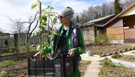 SRF: настоящее счастье по-русски