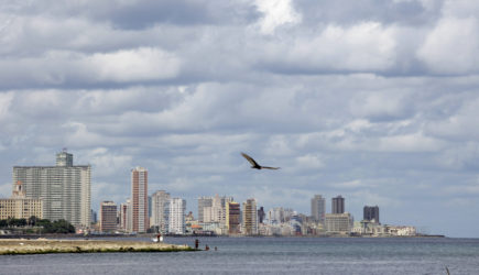 Россиянка умерла на Кубе из-за раненой чайки