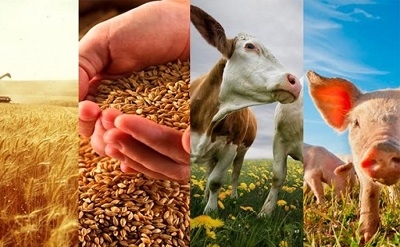 На Украине сознательно уничтожают аграрную отрасль