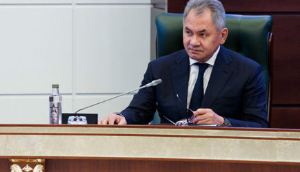 Шойгу взял на себя роль здоровой оппозиции: эксперты о словах министра про &laquo;разложение&raquo;