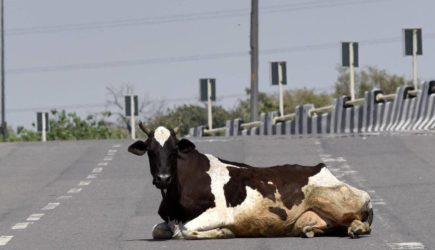 Россиянка побывала в Абхазии и назвала три главные опасности на дорогах