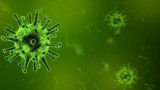 Коронавирус, вероятно, создан искусственно