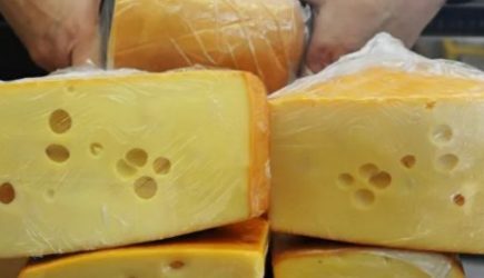 Что будет, если есть сыр каждый день?