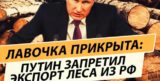 Путин запретит вывозить лес из России