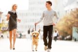 Домашние собаки делают людей привлекательнее для противоположного пола