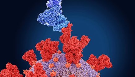 Иммунолог назвал сроки нахождения коронавируса в теле человека