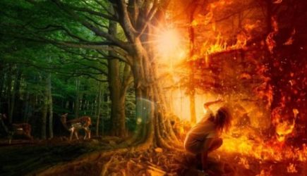 Голод и невиданные ранее катастрофы — страшные предсказания Нострадамуса на 2022 год