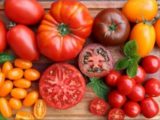 Раскрыты способы вырастить самые вкусные помидоры на участке