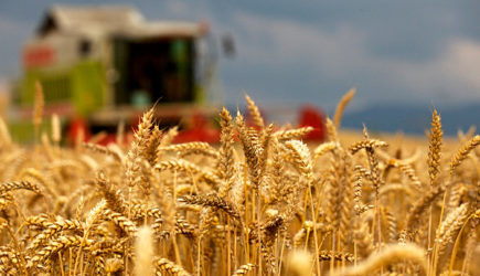 Нефть и газ не главное. Россия получила экономическое супероружие