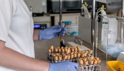 Назван способ защититься от оспы обезьян