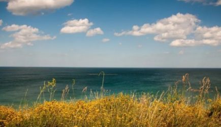 Азовское море может поглотить части 2 областей в ближайшие 20 лет