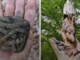 10 неожиданных находок в лесу, которые поставили людей в тупик