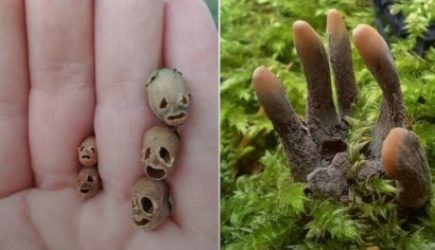 15 раз, когда природа сильно напугала людей, и они поделились снимками в Сети