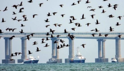 Украинская разведка получила подробную техдокументацию Крымского моста