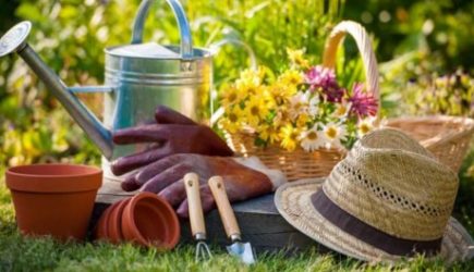 Иначе урожай пропадет: пять обязательных дел на огороде в июле