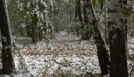 Россиян предупредили об аномальных ужасах погоды в сентябре