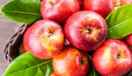 Эксперт рассказала, кому лучше отказаться от яблок