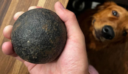 Мужчина обнаружил неожиданную находку у дома