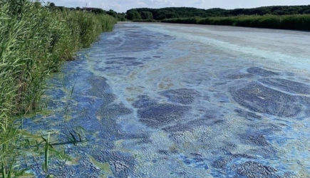 В российском регионе дети начали гулять в противогазах из-за сильной вони