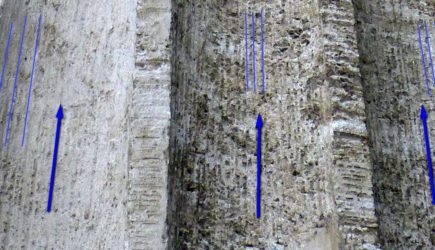 Тайна колонн Казанского собора