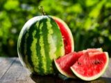 С первого взгляда: в Роспотребнадзоре рассказали, как выбрать арбуз по его «внешности»