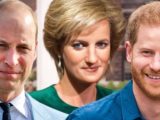 Жуткое предсказание принцессы Дианы сбылось до мелочей: Уильям в опасности