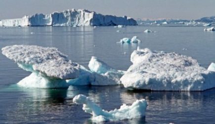 Назван неожиданный источник следующей пандемии: &laquo;Рецепт катастрофы&raquo;