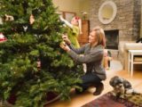 Когда ставить и как сохранить новогоднюю живую елку