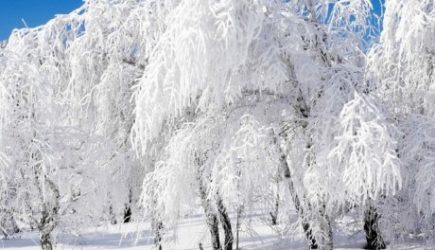 С вероятностью 50% грядущая зима будет не особо холодной, и снега опять будет мало