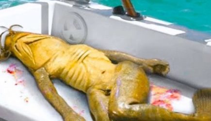 Эта находка в Тайланде испугала всех ученых!