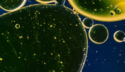 Энергоэксперт назвал введение западного эмбарго на нефтепродукты из РФ открытым вопросом