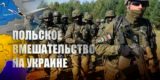 В Совфеде допустили готовность Польши захватить часть Украины весной